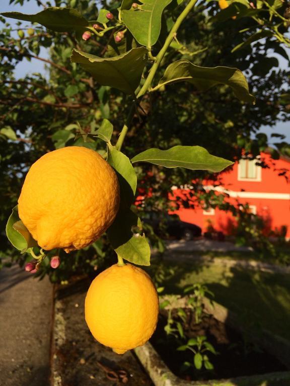 Agriturismo Ca' La Pergola Lugagnano Dış mekan fotoğraf