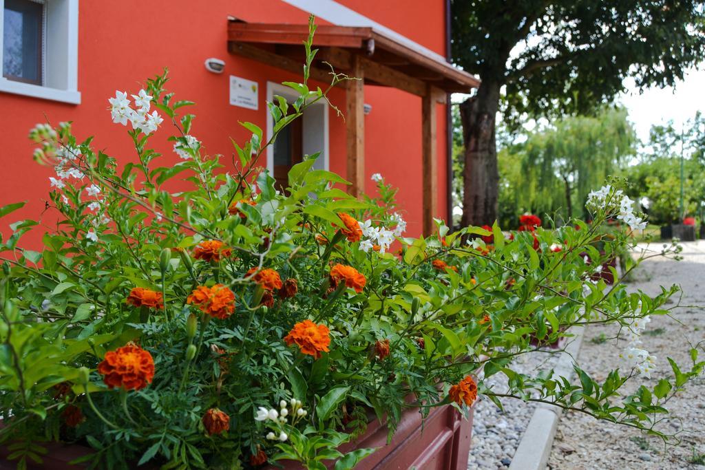 Agriturismo Ca' La Pergola Lugagnano Dış mekan fotoğraf