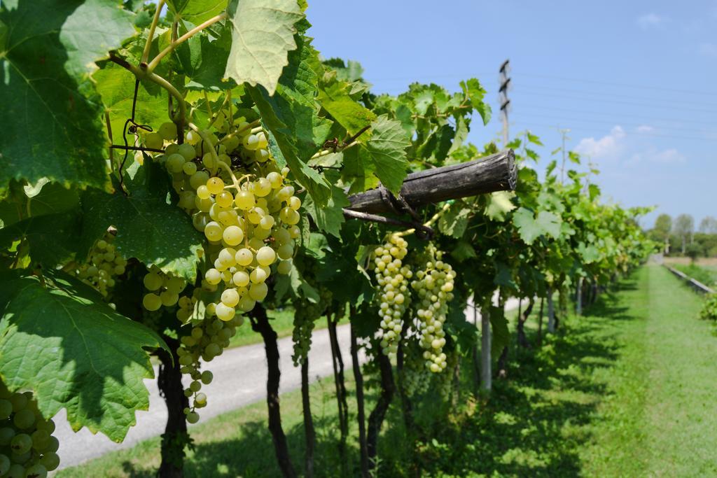 Agriturismo Ca' La Pergola Lugagnano Dış mekan fotoğraf